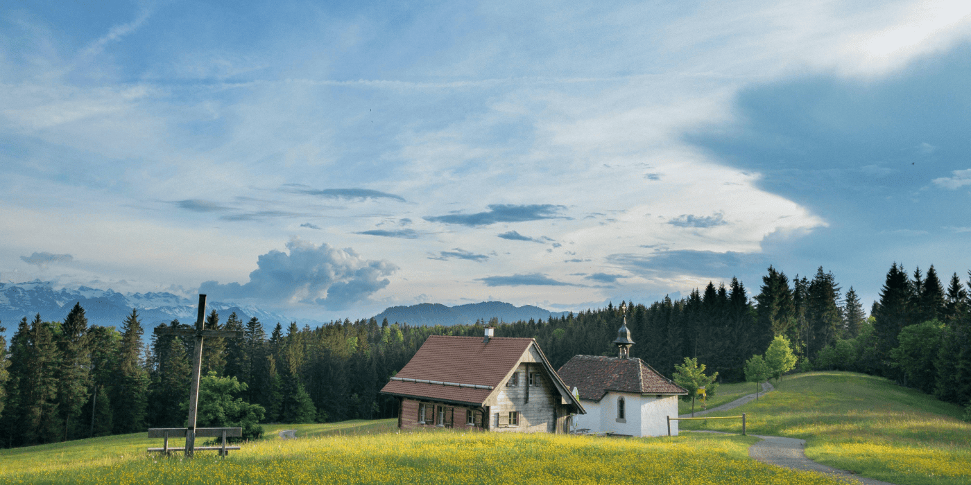 Cover (21) Cover (21)