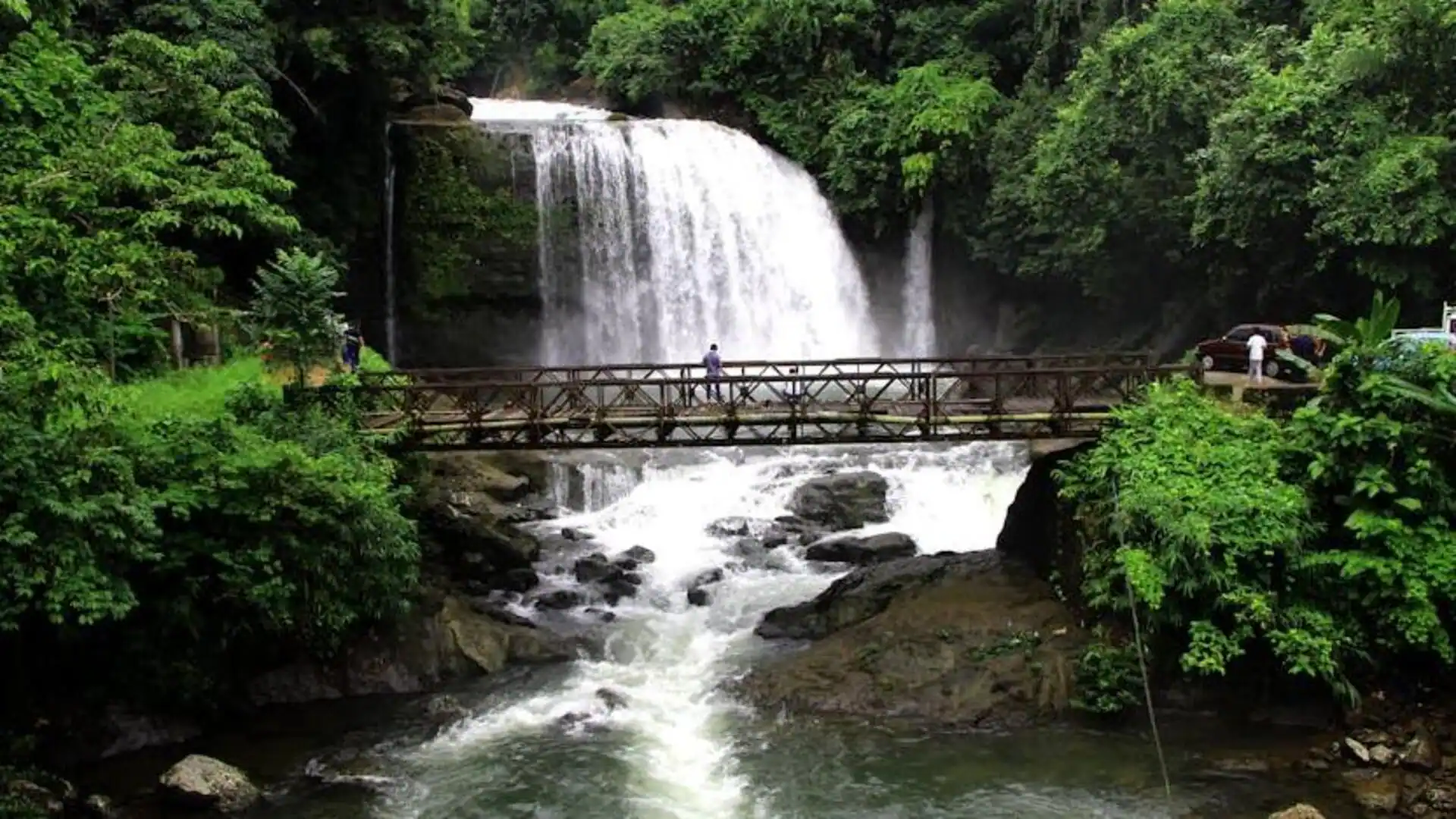 l85920241224135549 l85920241224135549