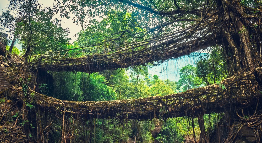 shutterstock_1084338791 shutterstock_1084338791